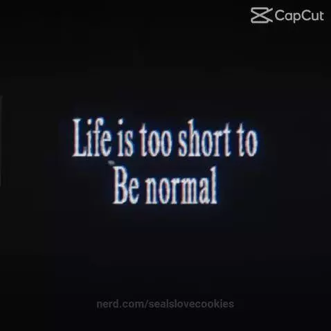 Idc what you are or who you are!!, :3 by sealslovecookies