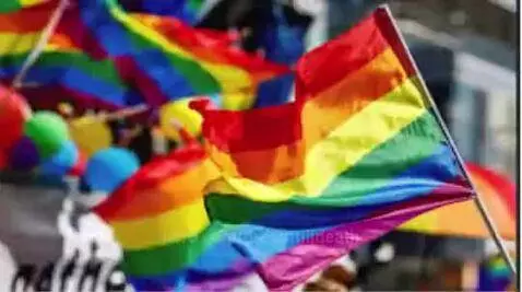 Made Myself For Pride! by dreamtilldeath