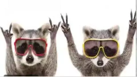 Ask or give advice in the comments also I edited myself btw:... by dreamtilldeath