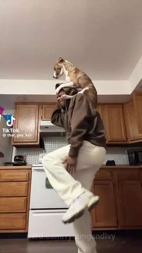 WORK TO THE BEAT by ryoungandivy