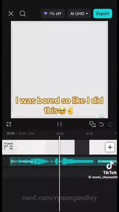 THANK YOU PEOPLE FOR 8TH PLACE IN THE LEADERBOARD by ryoungandivy