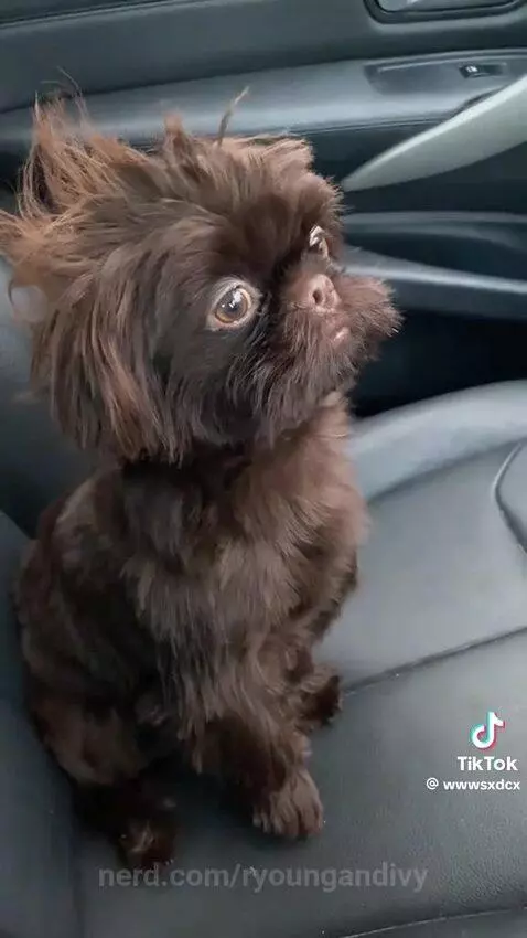 Video by ryoungandivy