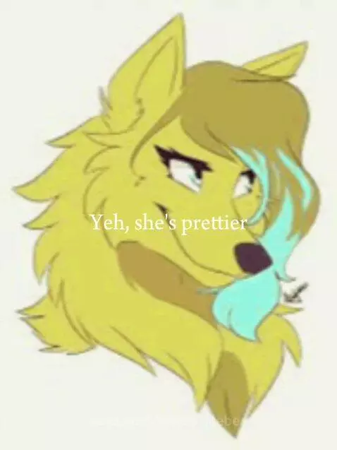 Kara as a wolf v.s as a dog by excessivebee