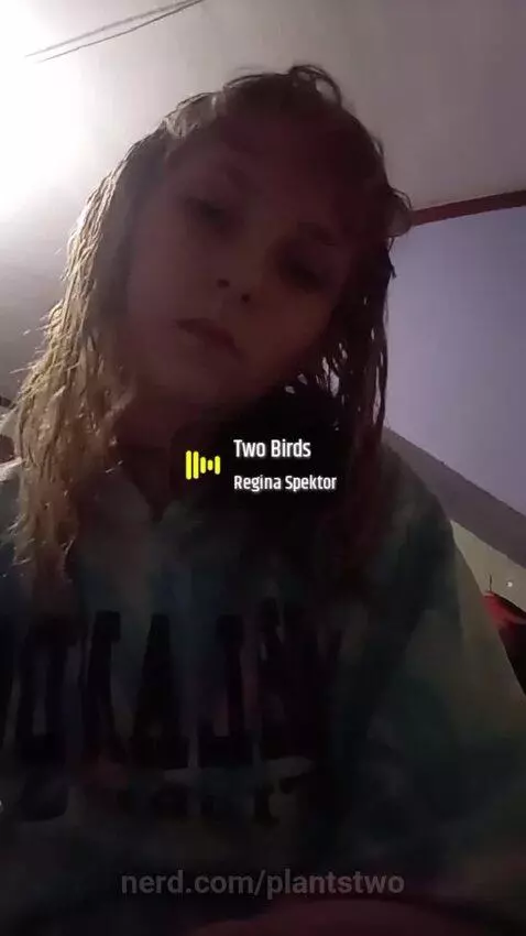 Two birds by plantstwo