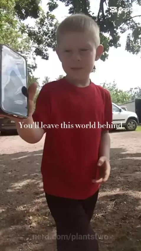 The nights by plantstwo