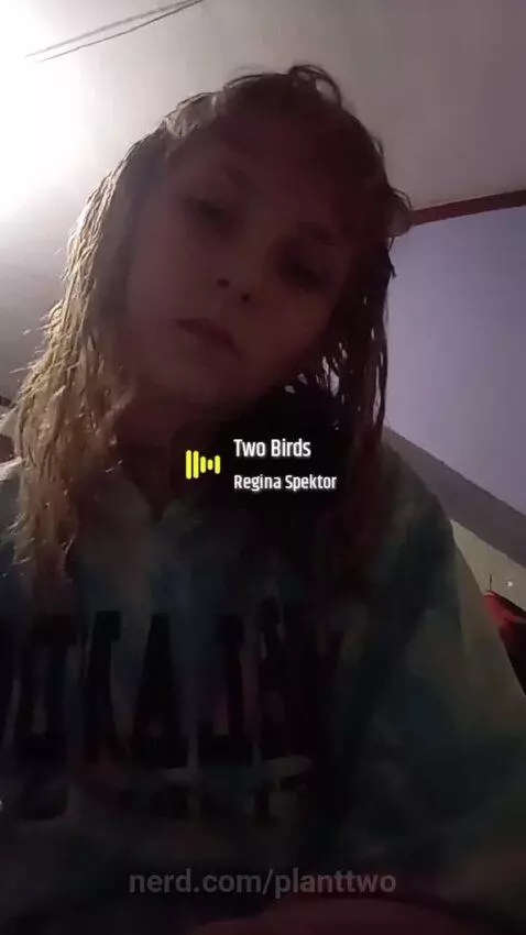 Two birds by planttwo