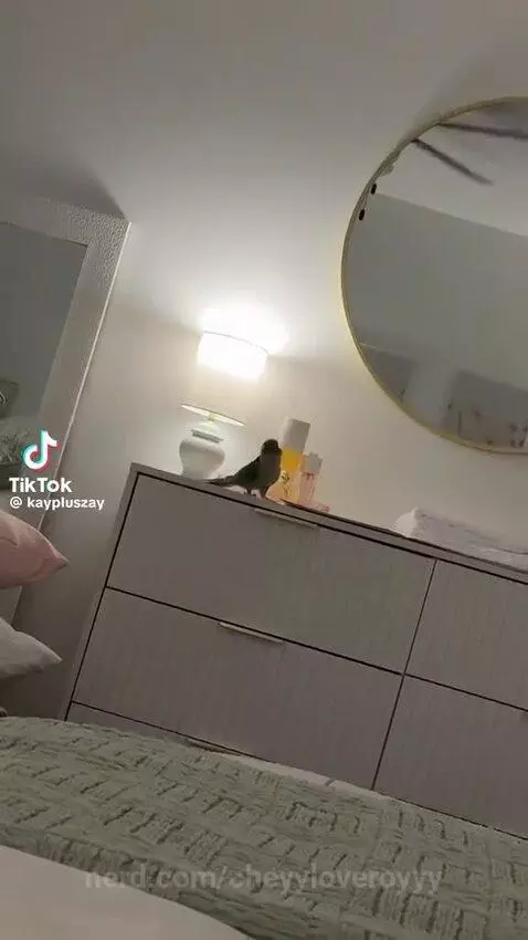 Video by cheyyloveroyyy