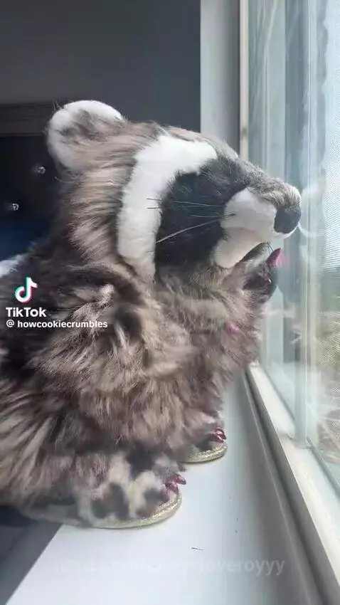 Video by cheyyloveroyyy