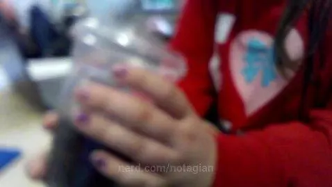 PPPPLAT DAY2222 by notagian