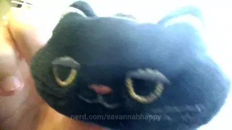 WISH ME A HAPPY B-DAYYY (The cat lol) by savannahhappy