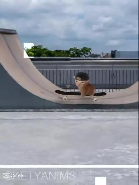 Video by fabianeditsz