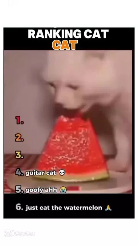 Video by fabianeditsz