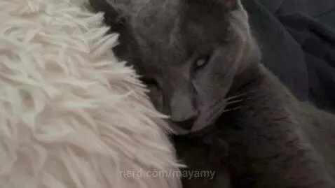 Vecna  got him by mayamy