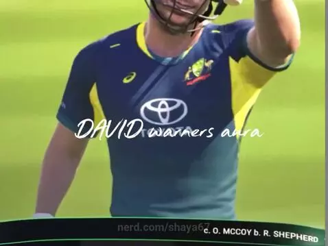 David warners aura on the PC by shaya67