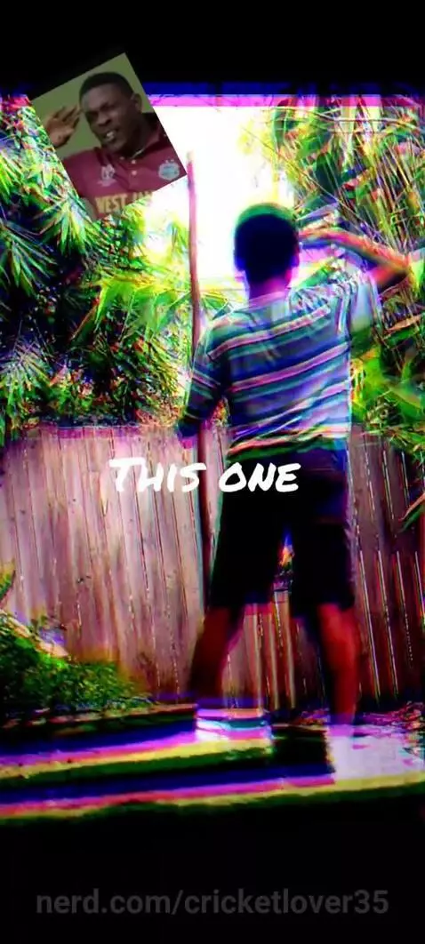 Back monkey doing black monkey things by cricketlover35