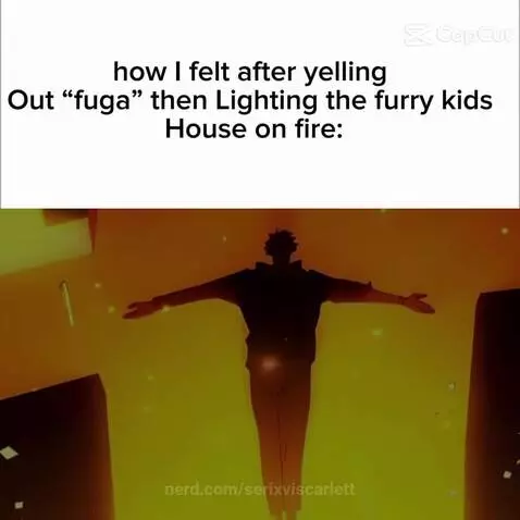 Video by serixviscarlett