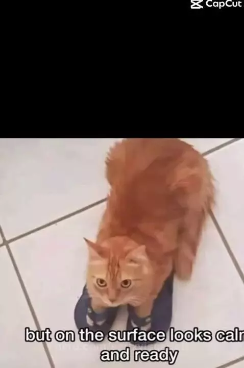 Video by serixviscarlett