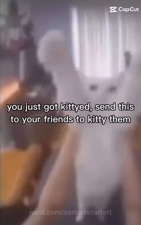 You got kittyed by serixviscarlett