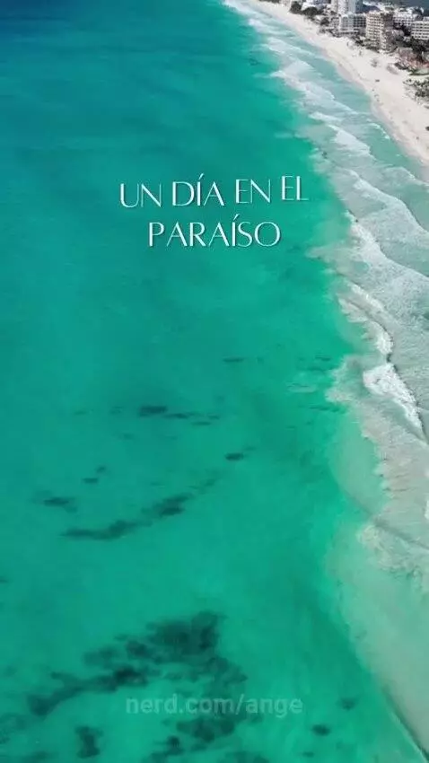 Video by ange