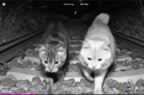 This is crazy by joey000