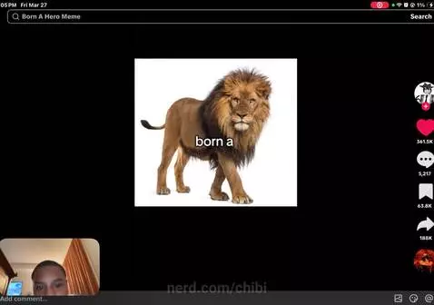 Video by chibi