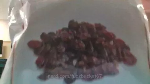 cranberry by fuzzbucket67