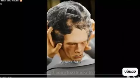 2 faced man pls wait a bit, it takes a couple seconds by fuzzbucket67