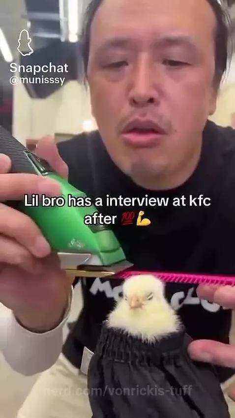 Bros cooked by vonrickis-tuff