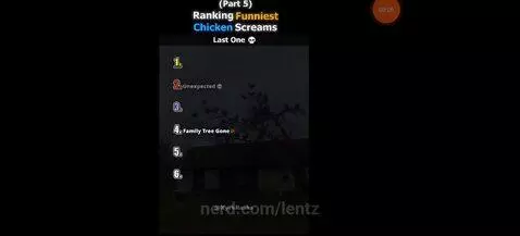 Holy chicken screams by lentz