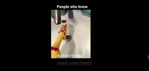Someone help the chicken by lentz