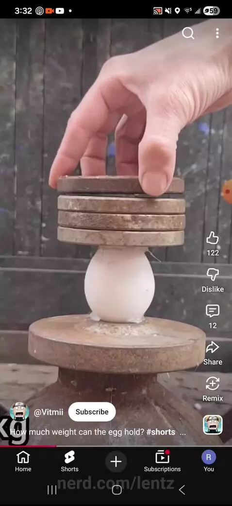 How this egg strong by lentz