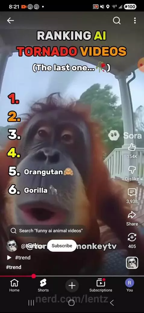 Video by lentz