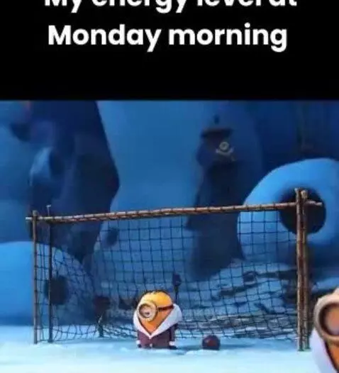Video by monkey67