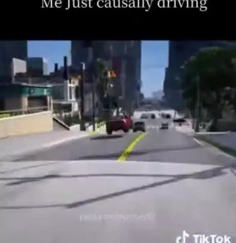 Video by monkey67