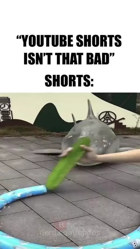 when someone said that youtube Shorts isnt that bad by ojsfos