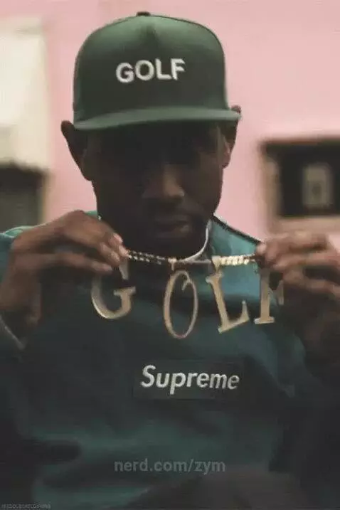 tylerthecreator by zym
