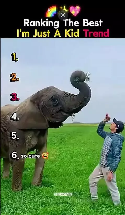 Video by mightymouse2012