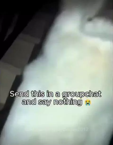 Video by mightymouse2012