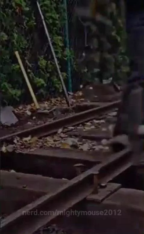 Video by mightymouse2012