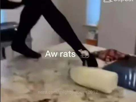 Video by mightymouse2012