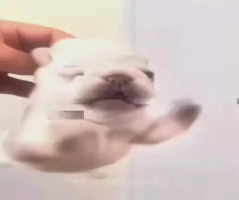Video by mightymouse2012