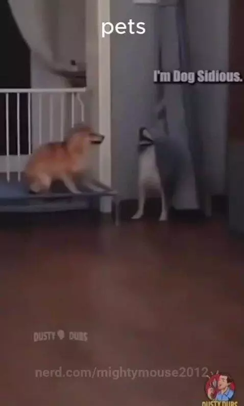Video by mightymouse2012