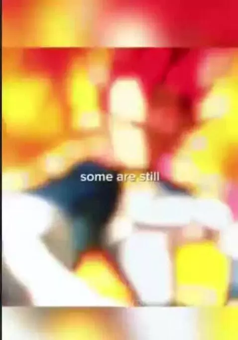 Video by proman