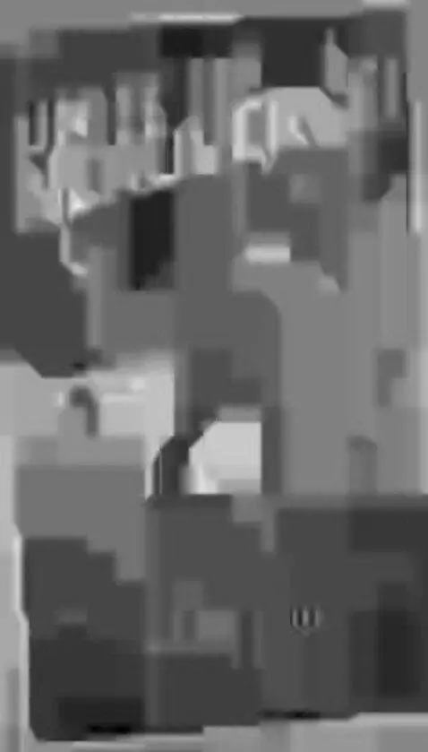 Video by proman