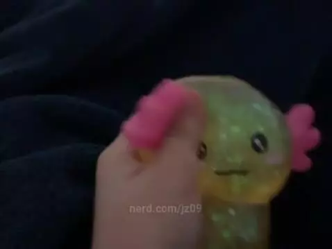I found the axolotl’s squishy by jz09