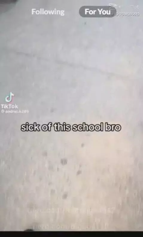 Video by lebronjaems2