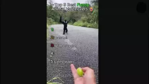 Video by liashope
