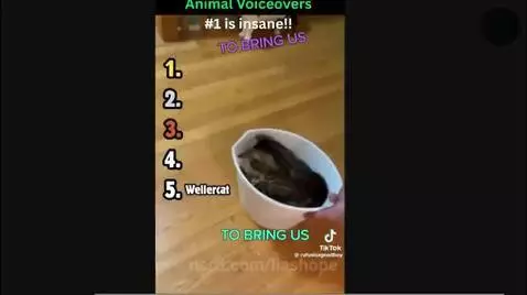 Video by liashope