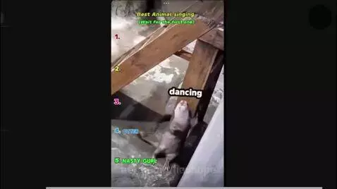 Video by liashope