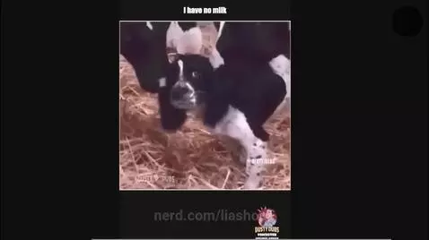 Video by liashope